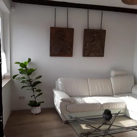 Amazing Historical Apartman *